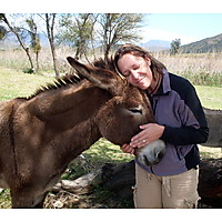 Eseltjiesrus Donkey Sanctuary image